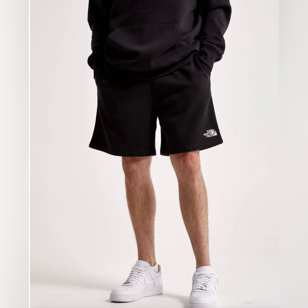 NWT The North Face Men’s Never Stop Shorts